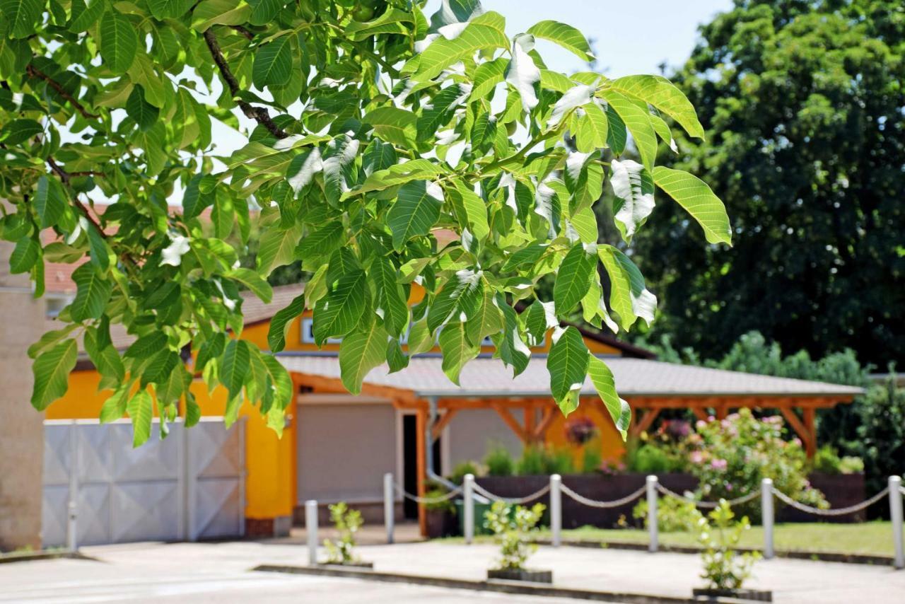 Ferienwohnung/ Ferienzimmer Asche Aschersleben Exteriör bild